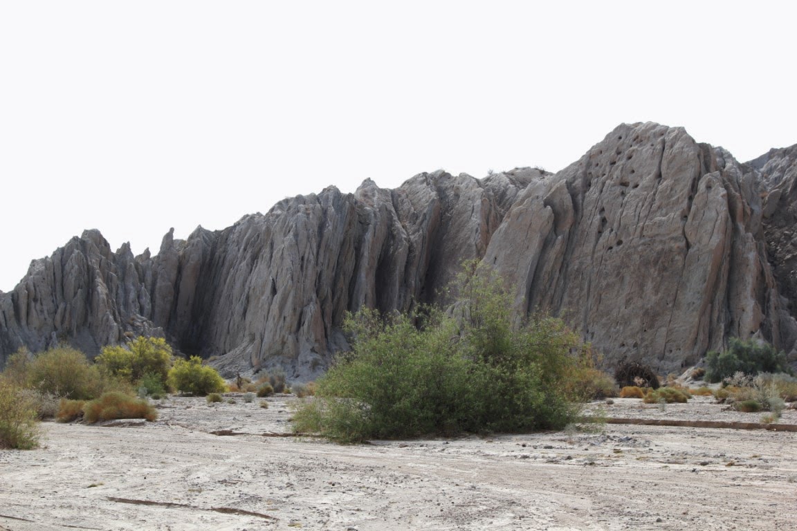 A testy bastard, at times. Box Canyon, Mecca, California.